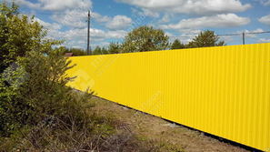 Профнастил С-8 п/э RAL 1018 (цинково-жёлтый) 0,4 мм