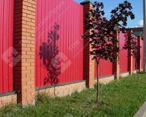 Профнастил С-8 п/э RAL 3003 (красный рубин) 0,5 мм